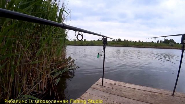 Донний монтаж на товстолобика не тільки ловить-товстолобика, щук, карасів, але і ...