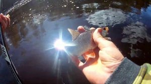 Рыбалка на Черном речке, плотва на поплавок.