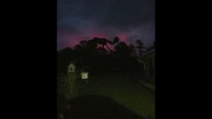 Unnerving/Happy images with Pokey Means Business