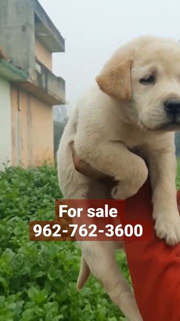 #trending #viral #fashion #photography #india #trend #instadaily #memes #music #style #trendingnow смотреть онлайн