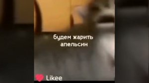 соси Соси отсоси будем жарить апельсин 3:16 минут