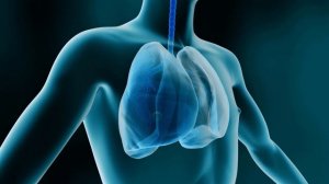 ԻՍՄԻԺԵՆ,ISMIGEN