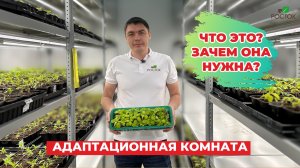 Рассказываем секреты важного этапа выращивания саженцев - адаптационная комната