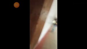 Крикнул матом на весь класс! Шок(Мем) (Оригинал видео в описании)