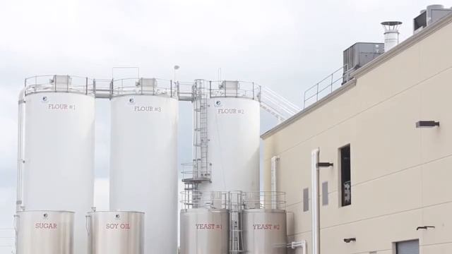 Turano: State of the Art Pest Control - Orkin for Your Business
