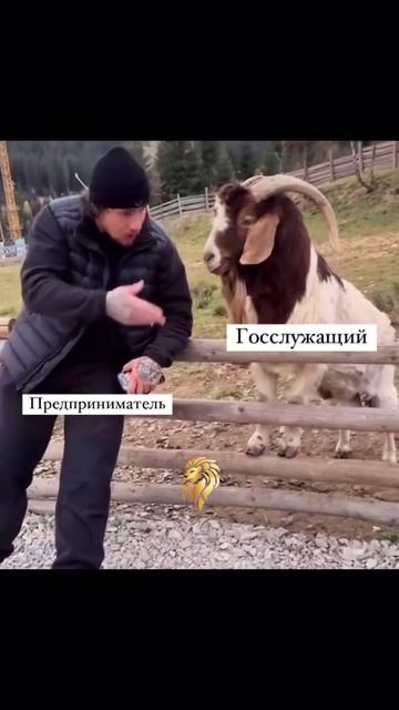 Предпринимательство или госслужба?