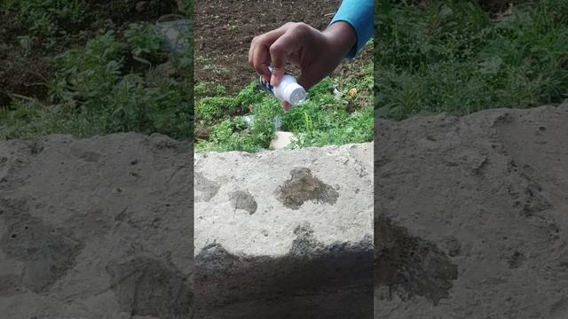 How Wilicon works#Willowood#Best In business# No one sticker#New 🇮🇳. смотреть онлайн