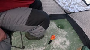 Как работает подводная камера для рыбалки? ДЕЙСТВИТЕЛЬНО ЛИ НУЖНА камера для зимней и летней рыбалк