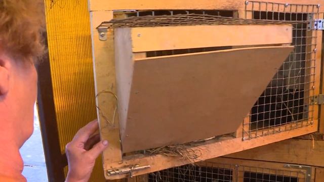 В территориальном управлении «Гжельское» работает 12 переписчиков. смотреть онлайн