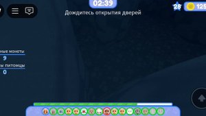 побег питомца