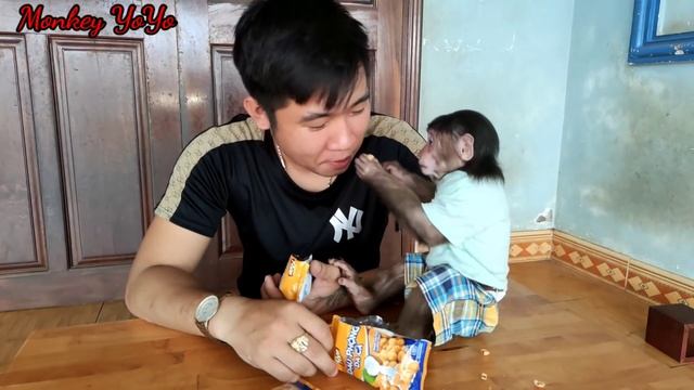 YoYo jr is very kind to dad