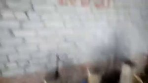 Линия автоматическая коралли для производства ящиков