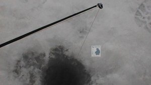 Жерлицы. 26.01.2025г