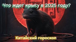 Прогноз для знака Крысы на 2025 год