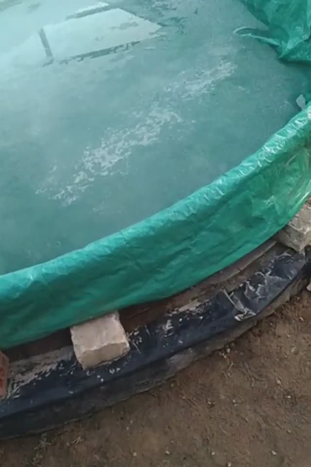 Состояние бассейна после первой зимы март/апрель.