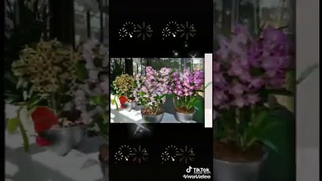 ГОМЕР БЕРӘҮ, ИКӘҮ ТҮГЕЛ смотреть онлайн