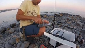 Ловля на море черноморской СТАВРИДКИ ROCKFISHING