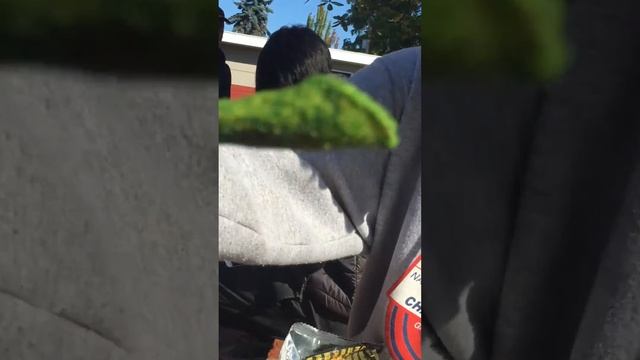 *ZOMBIE* NITRO TAKIS * STRAWBERRY* LEMONADE смотреть онлайн