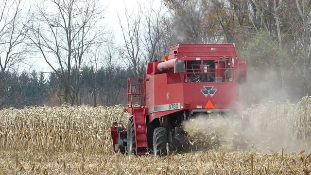 Corn Harvest 2020 | Massey Ferguson 8780 Combine Harvesting Corn | Ontario, Canada