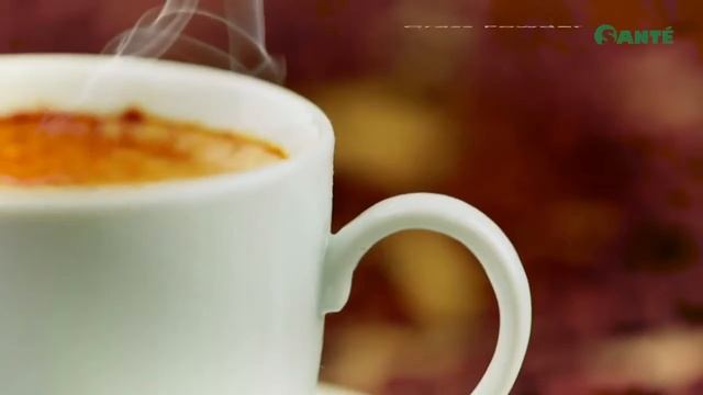 Fusion Coffee (Robusta mixed with barley grass) смотреть онлайн