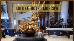 Отель Soluxe (отдых с Китайской хохлатой мини)#chinesecrested #soluxe #hotel#отдыхмосква#ccd