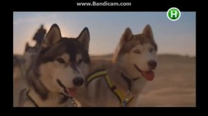 Реклама Lifecell (Новый канал, октябрь 2017) (30-cек.версия)/ Реклама операторов мобильной связи