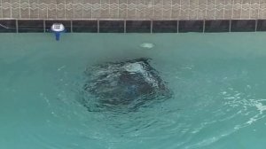 2023 Robot Pool Vacuum Wybot Osprey 700