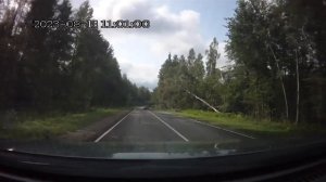 Бурелом на дороге Демянск - Осташков.18.08.2023