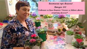 Болталка про Фиалки! Выпуск 54: Отвечаем на ваши вопросы: "Стоит ли давать цвести стартеру фиалки?"