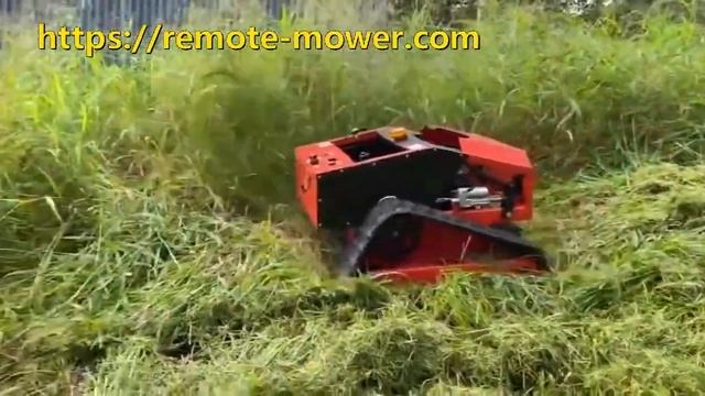 Remote Control Crawler Slope Lawn Mower Cuts Tall and Thick Grass in Australia