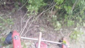 Rotorine sienapjove Роторная косилка