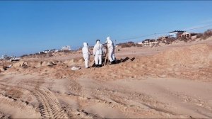 Витязево, цетральный пляж. Состояние. Прогноз.