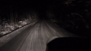 Регион 42 тайга.