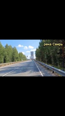 полное видео на канале #семейныйканал #cat #отпуск #дорога