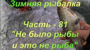 Зимняя рыбалка. Часть - 81. "Не было рыбы и это не рыба".