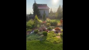 РОКАРИЙ// ЛАНДШАФТНАЯ КОМПОЗИЦИЯ МЕЧТЫ