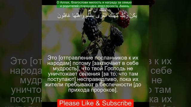 Коран Сура Аль Анам | 6:131 | Чтение Корана с русским переводом | #рамадан2024 #quran смотреть онлайн
