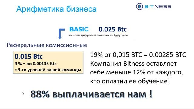Что надо знать О BITNESS коротко и подробно за 19 минут