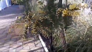 Променад с Инной 30.01.25.