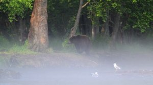Путешествие на край земли 4К  60fps / A journey to the ends of the earth. 4K 60fps