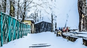 Не пропусти,подпишись.Самое интересное впереди.!!!