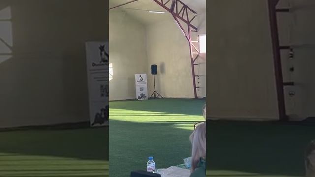 «Барби» - Гелена Зырянова и золотистый ретривер Марс - Танцы с собаками: Мастер Фристайл