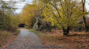 Что такое осень - это небо. Под гитару.
