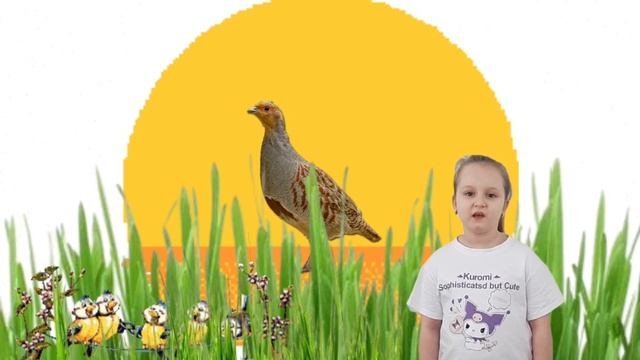 МБДОУ2
