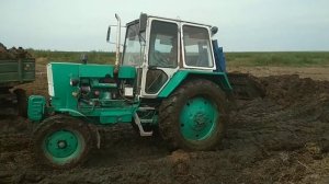 ЮМЗ погрузка навозу.