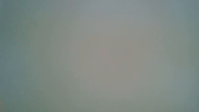 Business Law Review Wks 1-5 смотреть онлайн