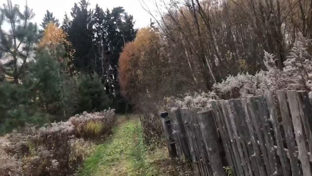 Вопрос родного языка ! смотреть онлайн