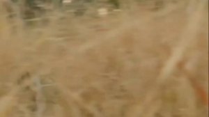 Мельница - Одной крови - Караоке