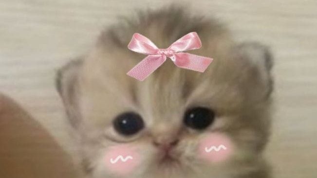 проходим игру 1часть