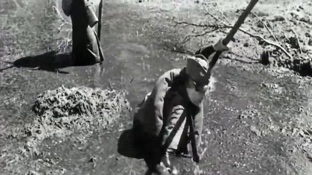 Б. Васильев А зори здесь тихие